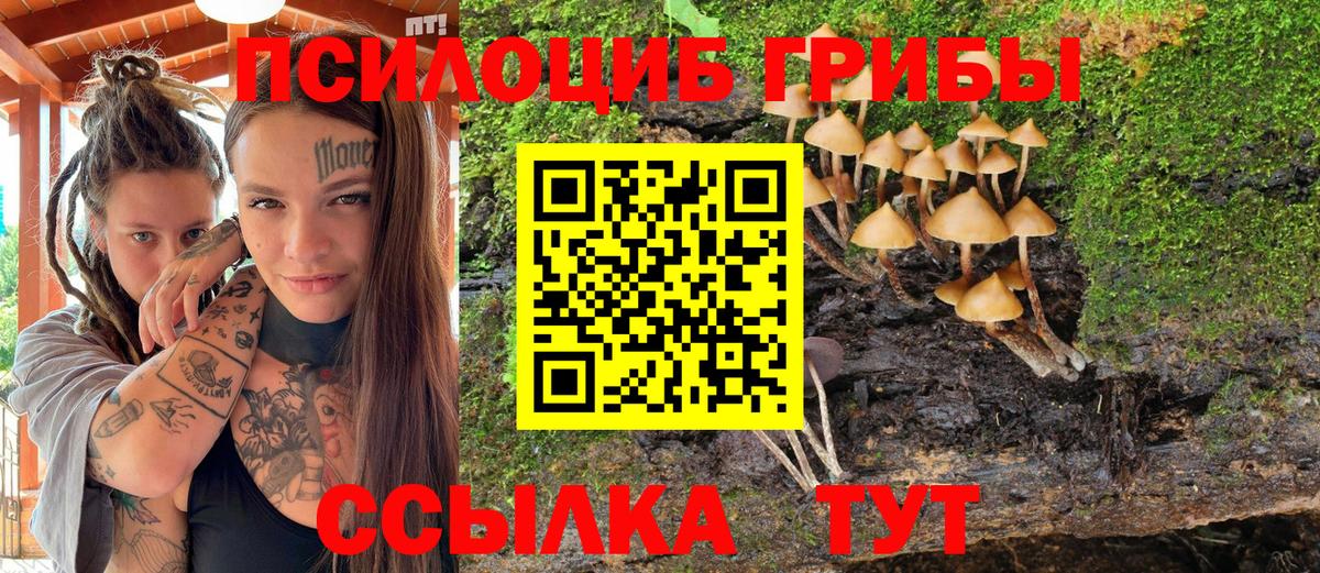 Псилоцибиновые грибы Magic Shrooms Мелеуз