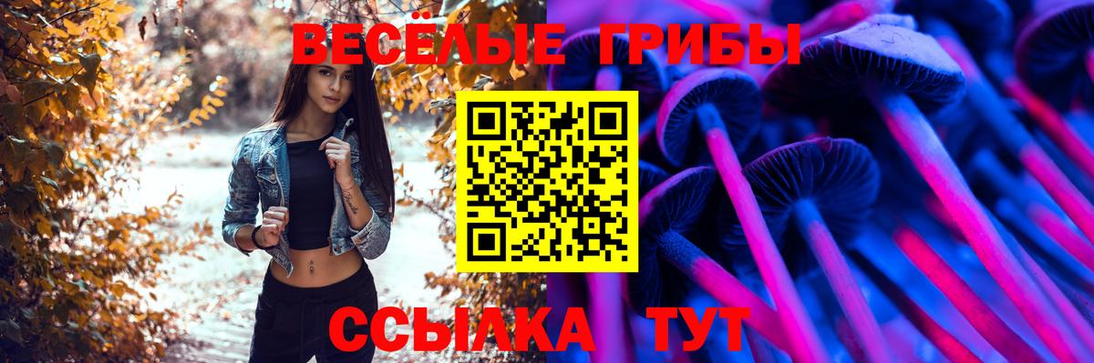 Мелеуз  Галлюциногенные грибы Cubensis  Вход с VPN 